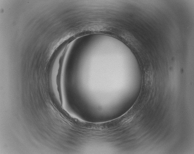 X0000053120727200508012151