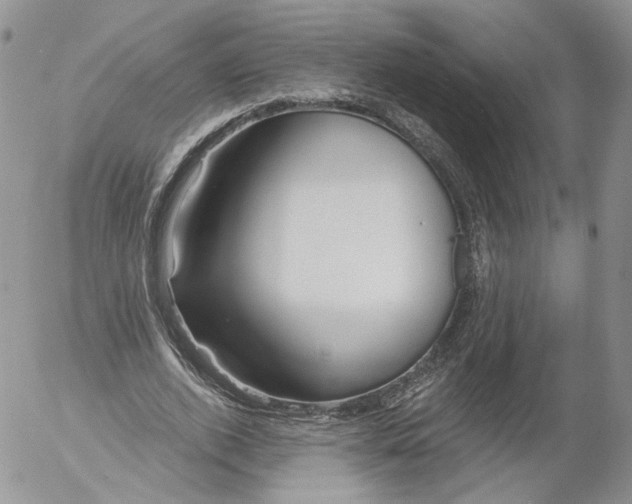 X0000053120728200508012151