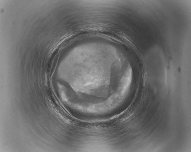 X0000053120729200508012151