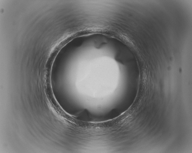 X0000053120730200508012151