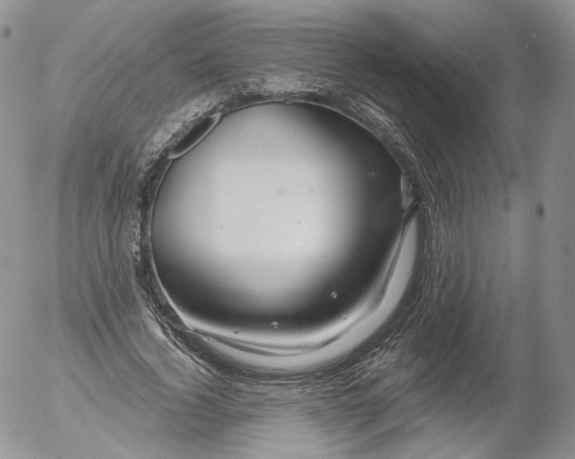 X0000053120732200508012151