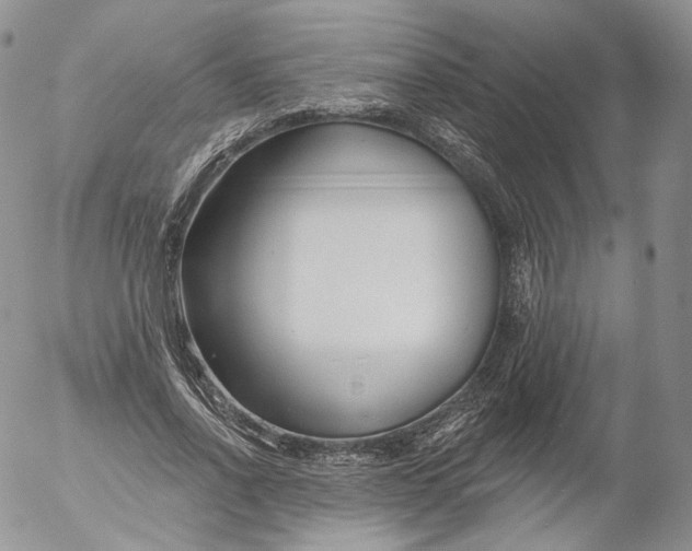 X0000053120734200508012151