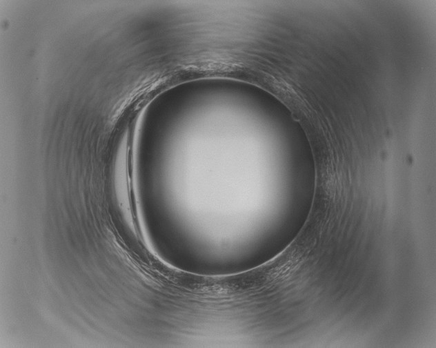 X0000053120735200508012151