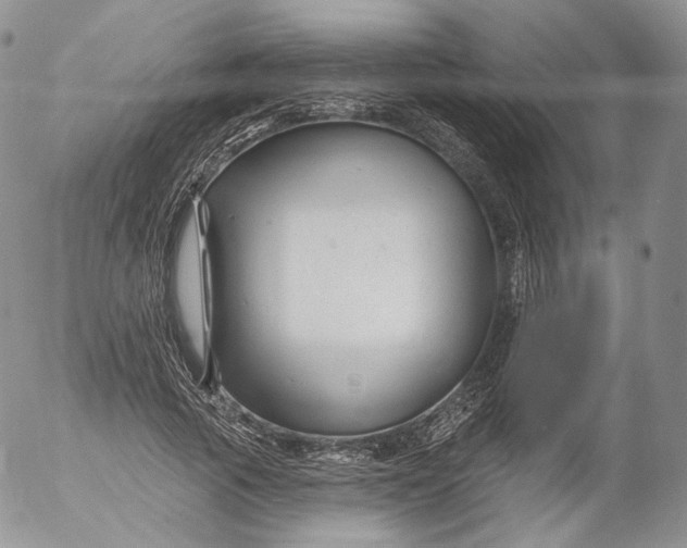 X0000053120737200508012151