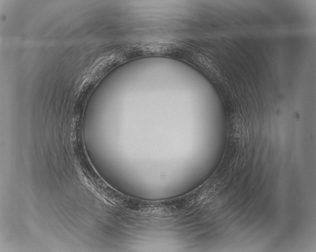 X0000053120738200508012151