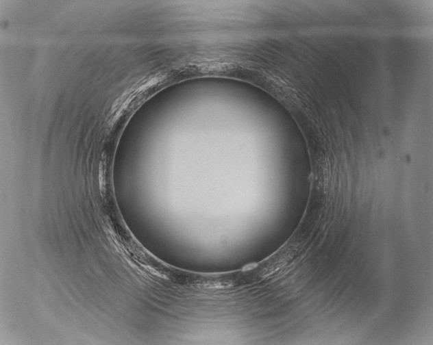 X0000053120740200508012151