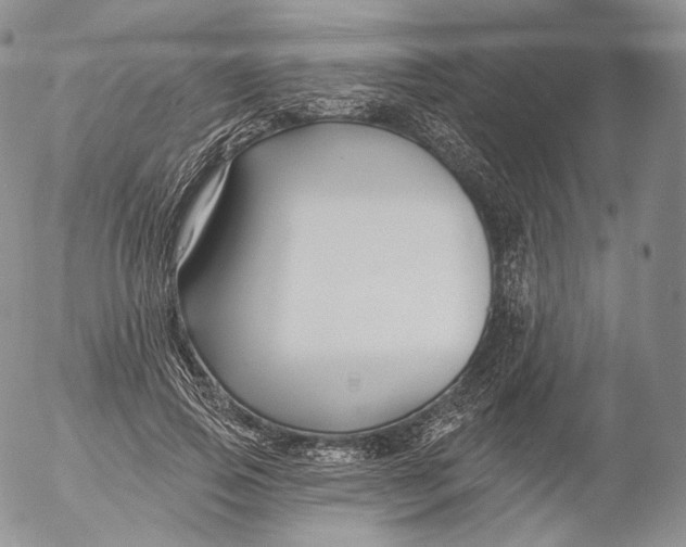 X0000053120741200508012151