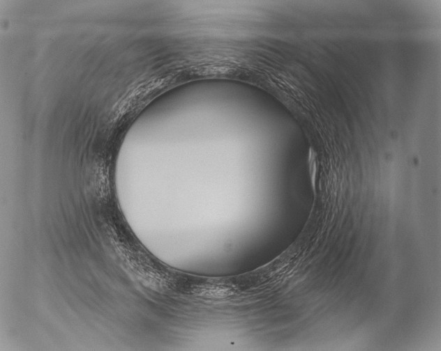 X0000053120743200508012151