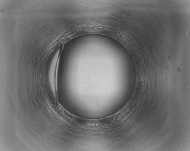 X0000053120744200508012151