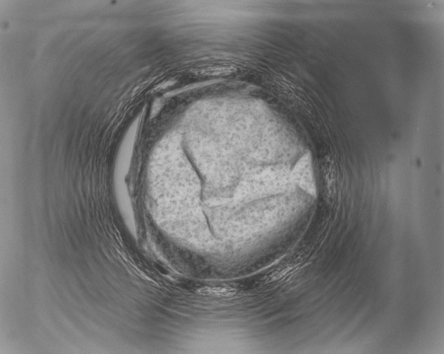 X0000053120745200508012151