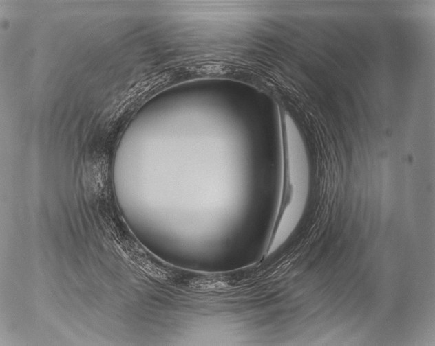 X0000053120747200508012151