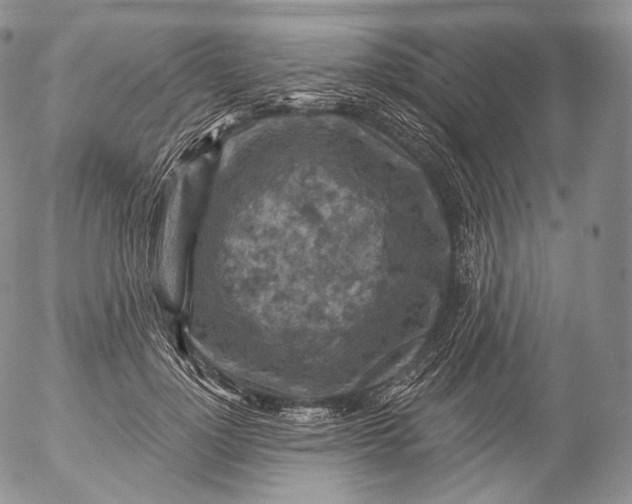 X0000053120748200508012151