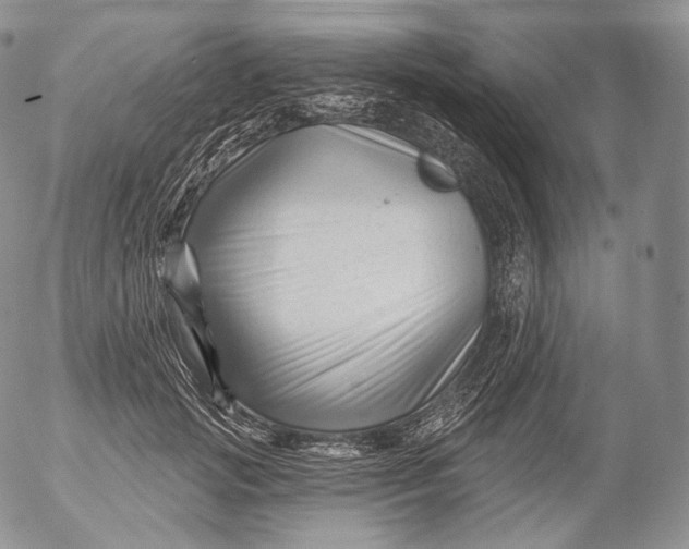 X0000053120749200508012151