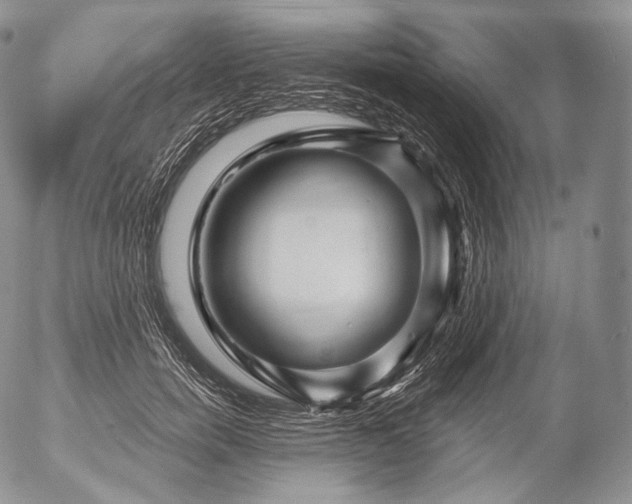 X0000053120750200508012151