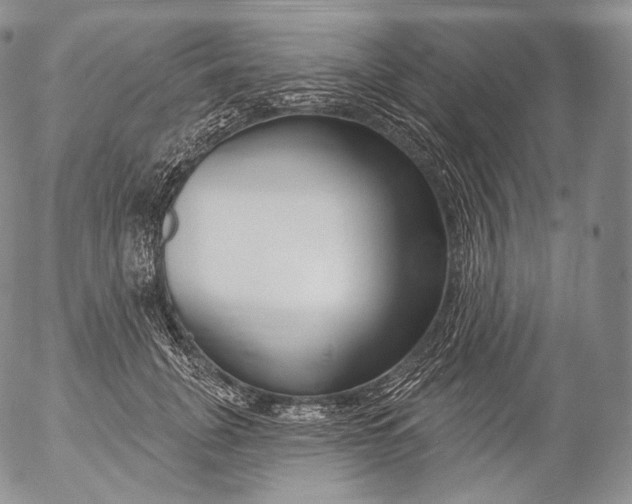 X0000053120751200508012151