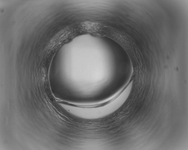 X0000053120752200508012151