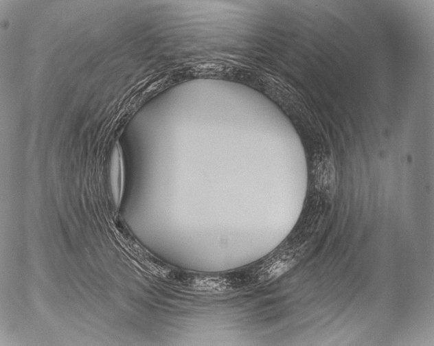 X0000053120753200508012151