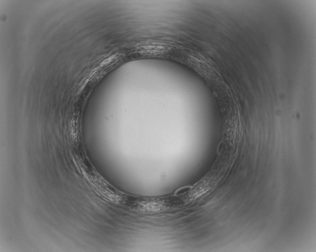 X0000053120755200508012151