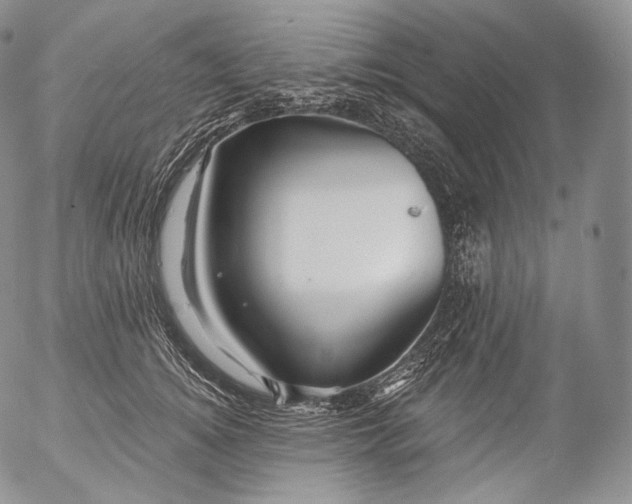 X0000053120756200508012151