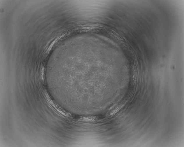 X0000053120758200508012151