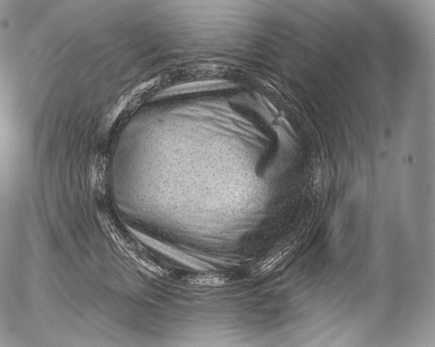 X0000053120759200508012151