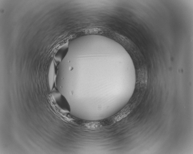 X0000053120761200508012151