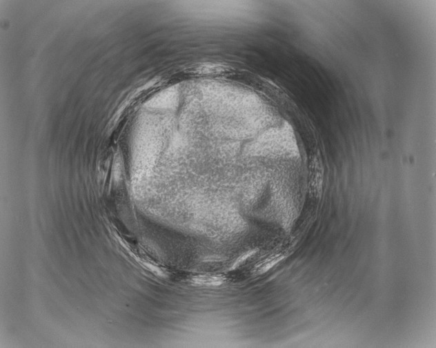 X0000053120762200508012151