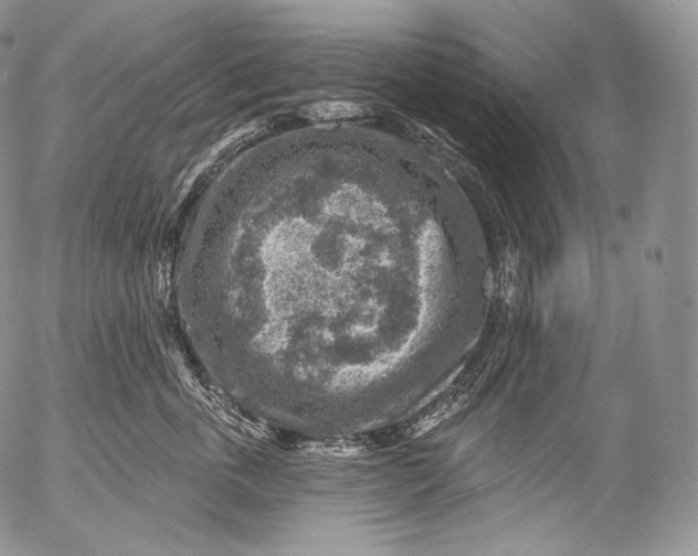 X0000053120763200508012151