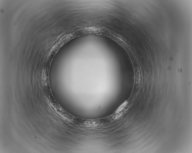 X0000053120764200508012151