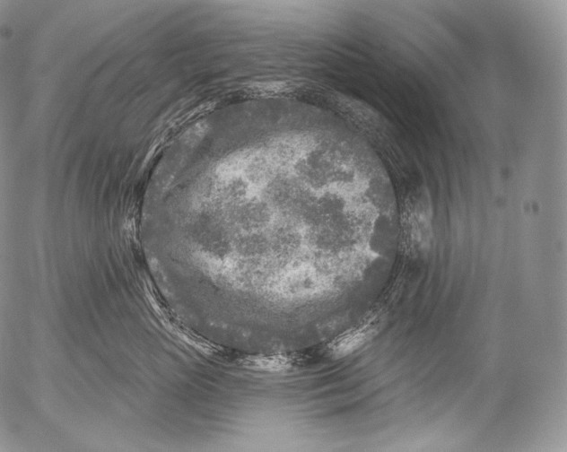 X0000053120765200508012151