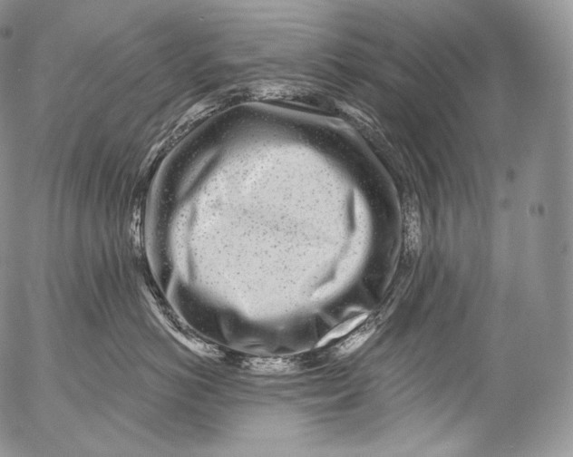 X0000053120766200508012151