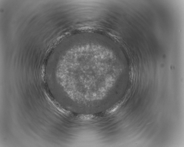 X0000053120767200508012151