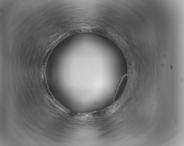 X0000053120768200508012151