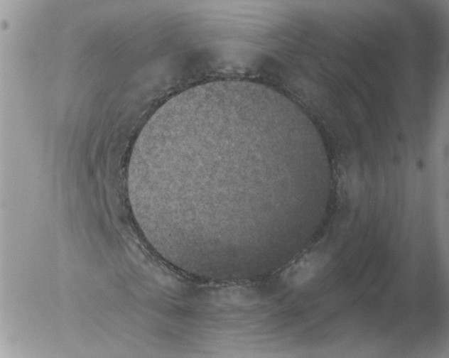 X0000053120769200508012150