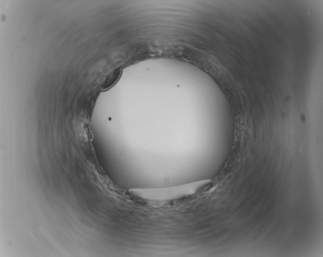 X0000053120770200508012150