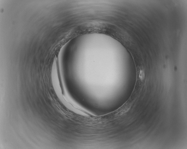 X0000053120771200508012150