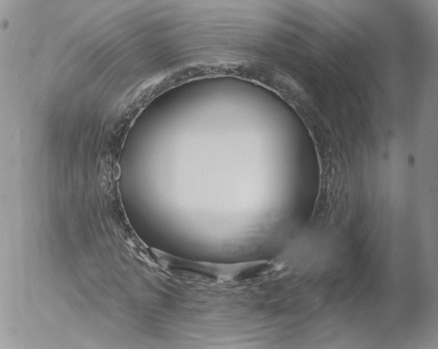 X0000053120773200508012150