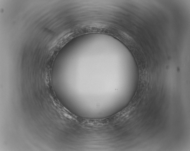 X0000053120774200508012150