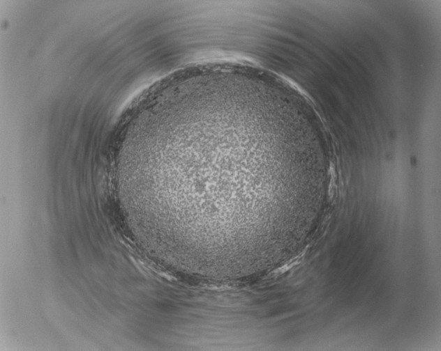 X0000053120775200508012150