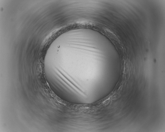 X0000053120776200508012150