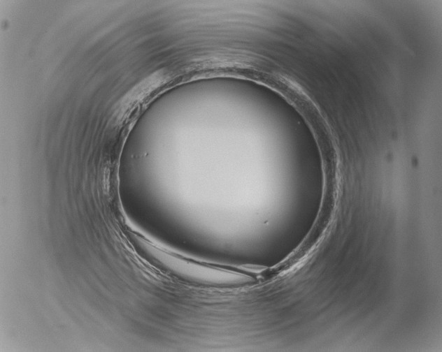 X0000053120777200508012150