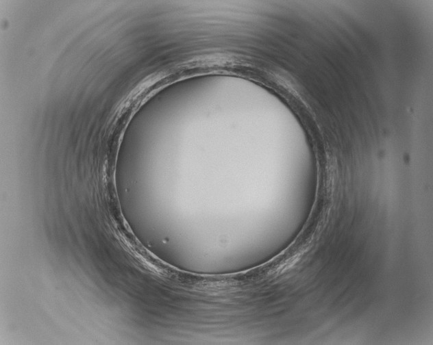 X0000053120778200508012150