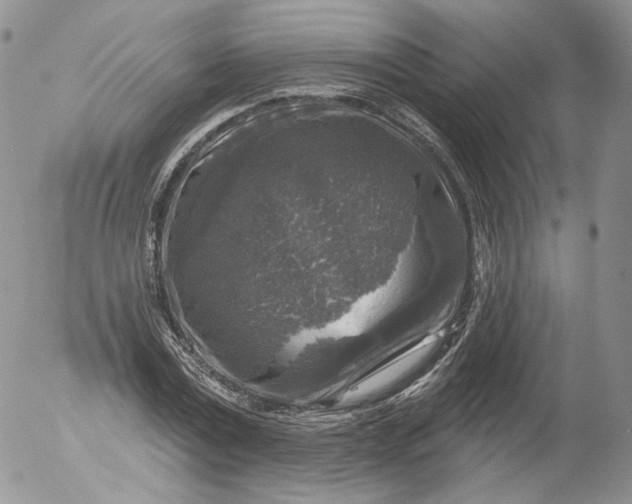 X0000053120779200508012150