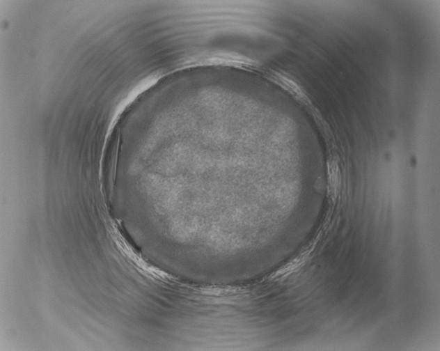 X0000053120780200508012150