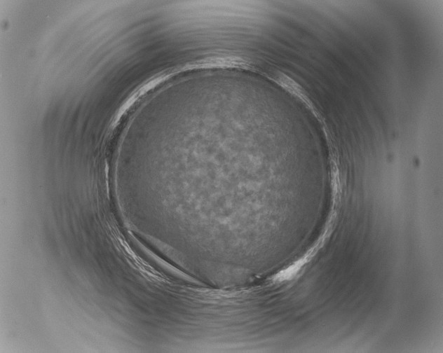 X0000053120781200508012150