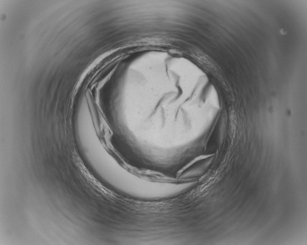 X0000053120784200508012150