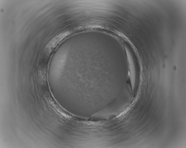 X0000053120785200508012150