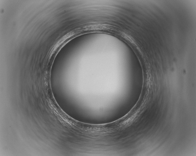 X0000053120786200508012150