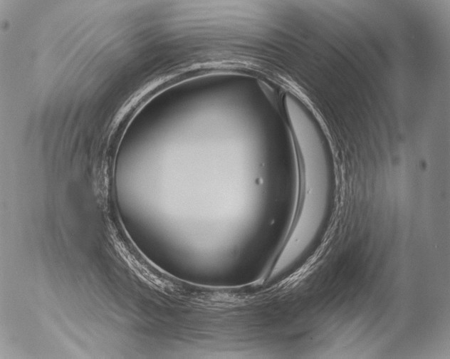 X0000053120787200508012150