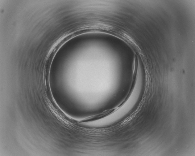 X0000053120788200508012150